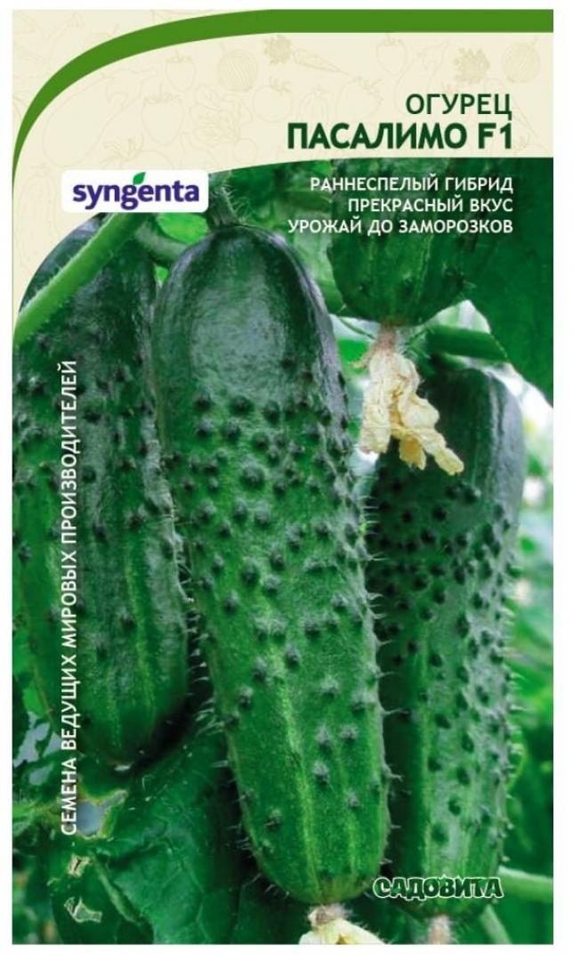 Огурец Пасалимо