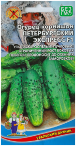 Огурец Петербургский экспресс