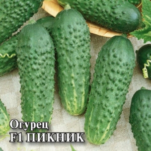 Огурец Пикник