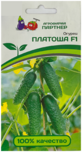 Огурец Платоша