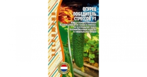 Огурец Победитель стрессов