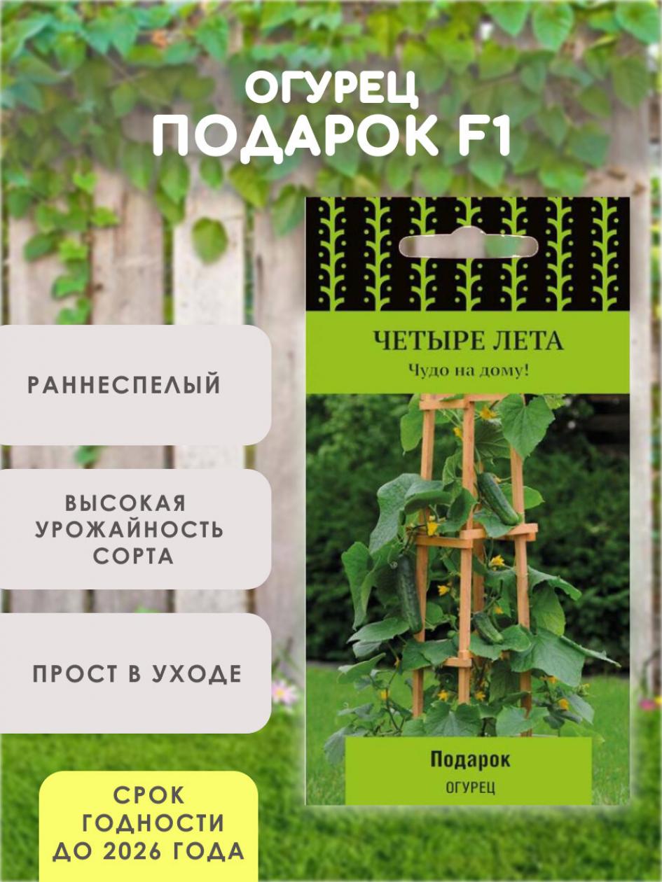 Огурец Подарок 2
