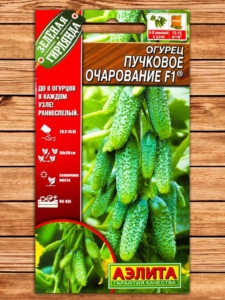 Огурец Пучковое очарование