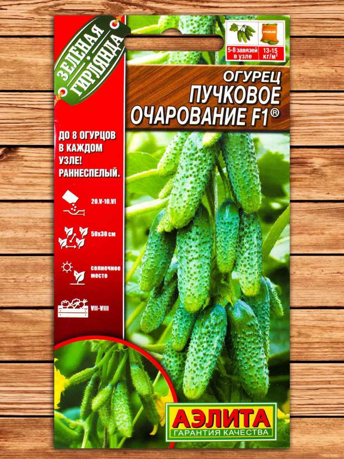 Огурец Пучковое очарование