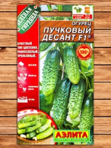 Огурец Пучковый десант