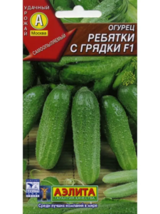 Огурец Ребятки с грядки