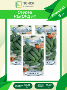 Огурец Рекорд