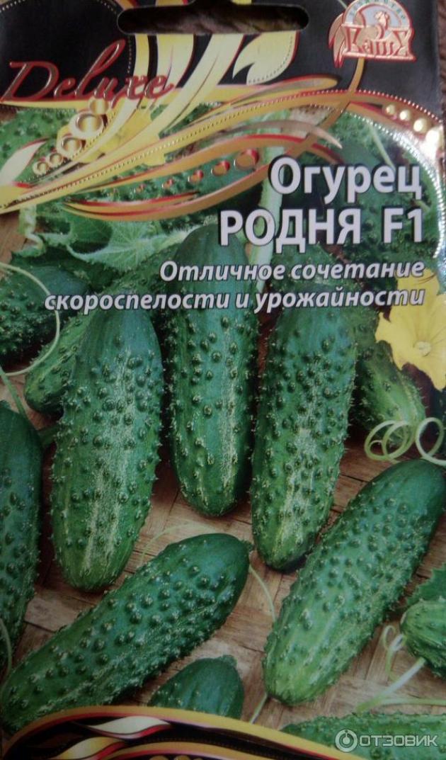 Огурец Родня