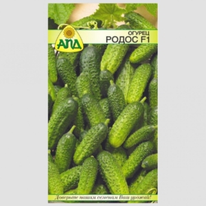 Огурец Родос