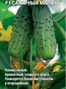 Огурец Сахарный малыш