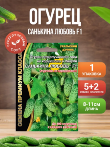Огурец Санькина любовь