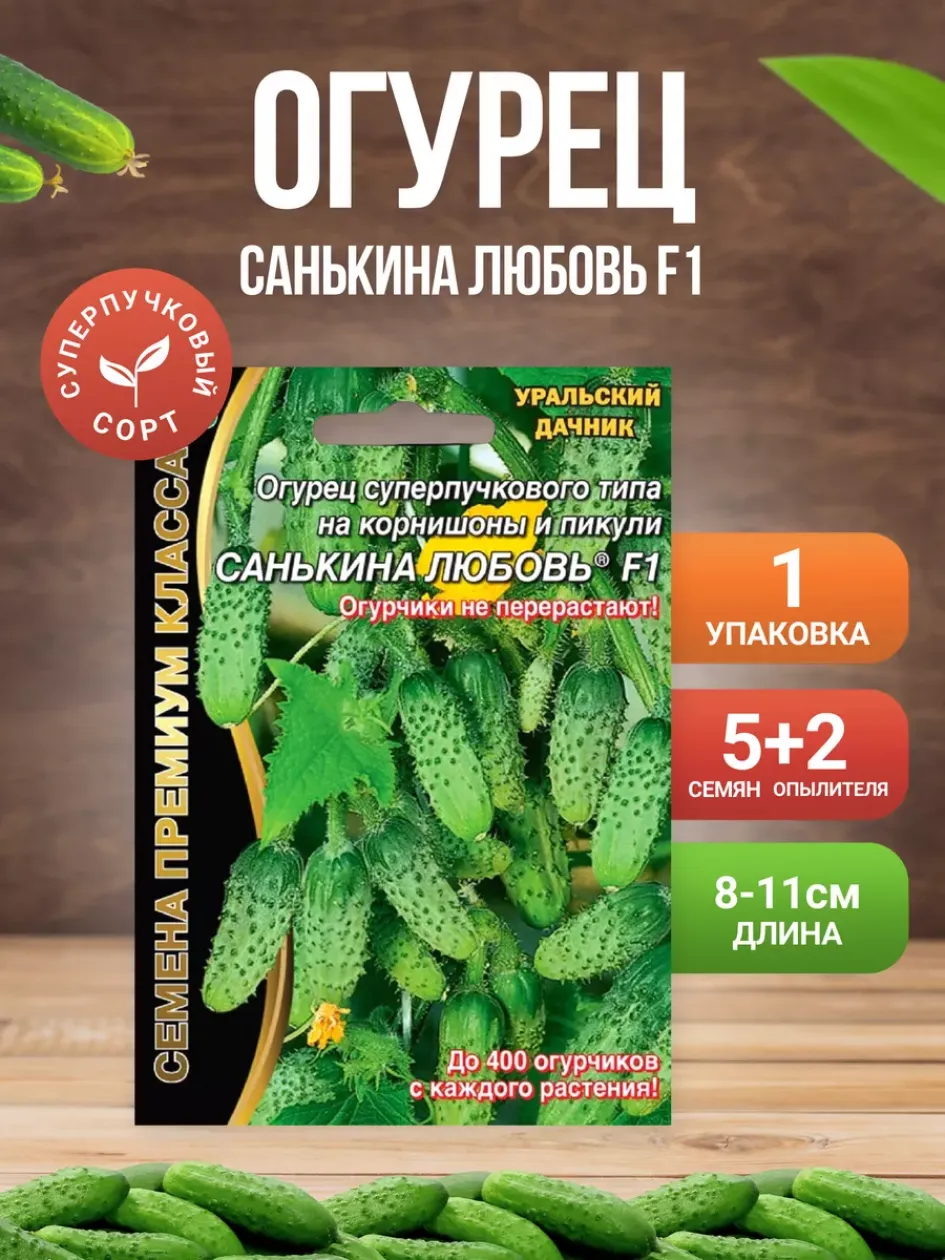 Огурец Санькина любовь