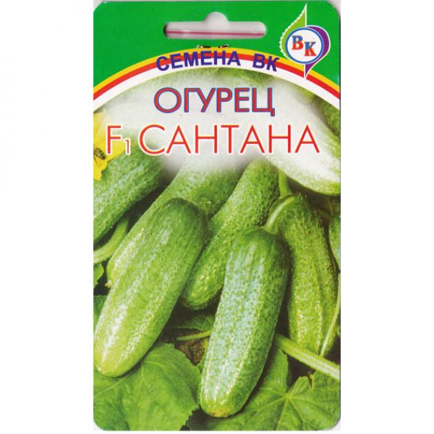 Огурец Сантана