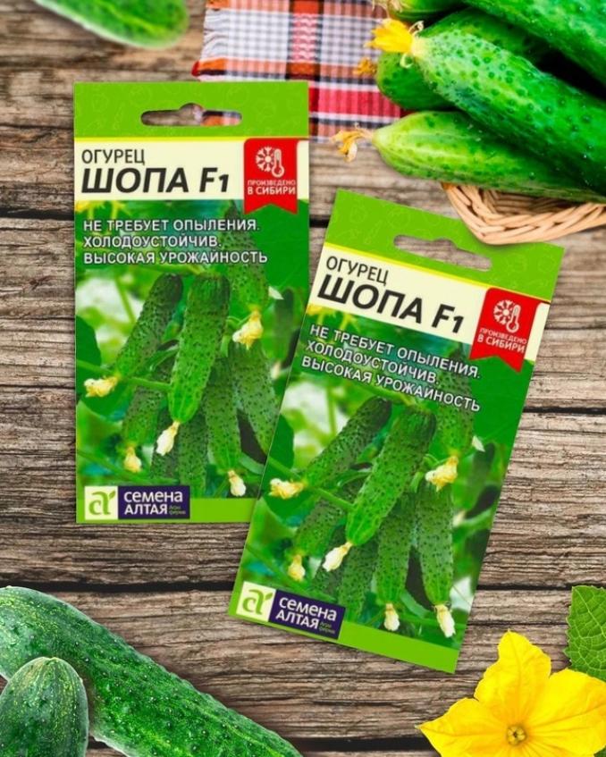 Огурец Шопа 2