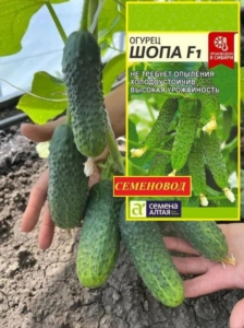 Огурец Шопа