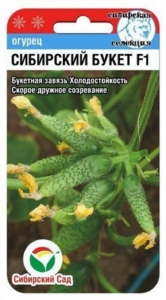 Огурец Сибирский букет
