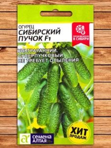 Огурец Сибирский пучок
