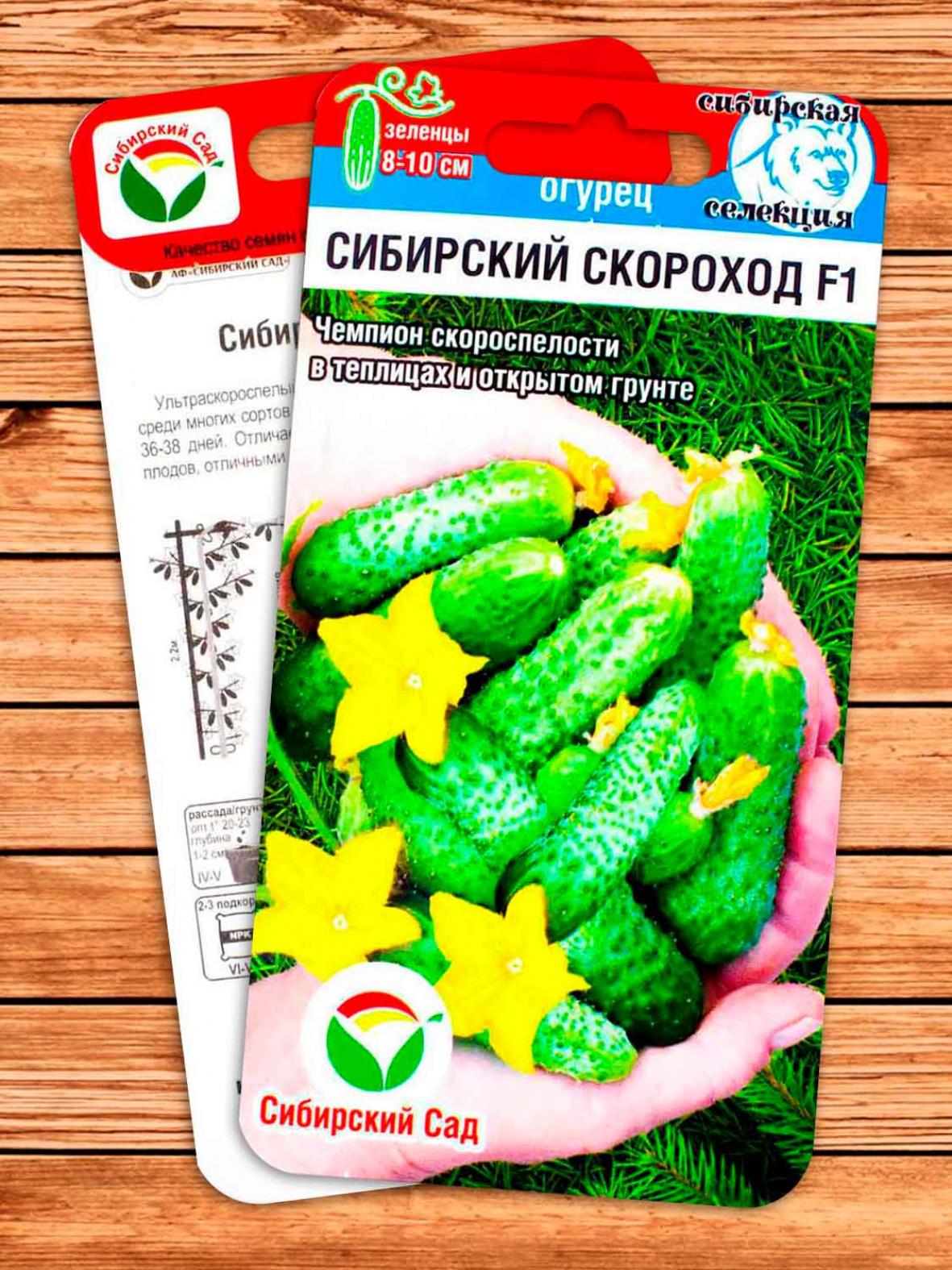 Огурец Сибирский скороход