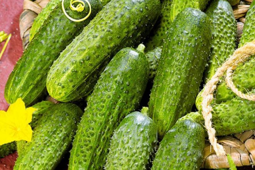 Огурец Скороспел