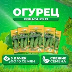 Огурец Соната