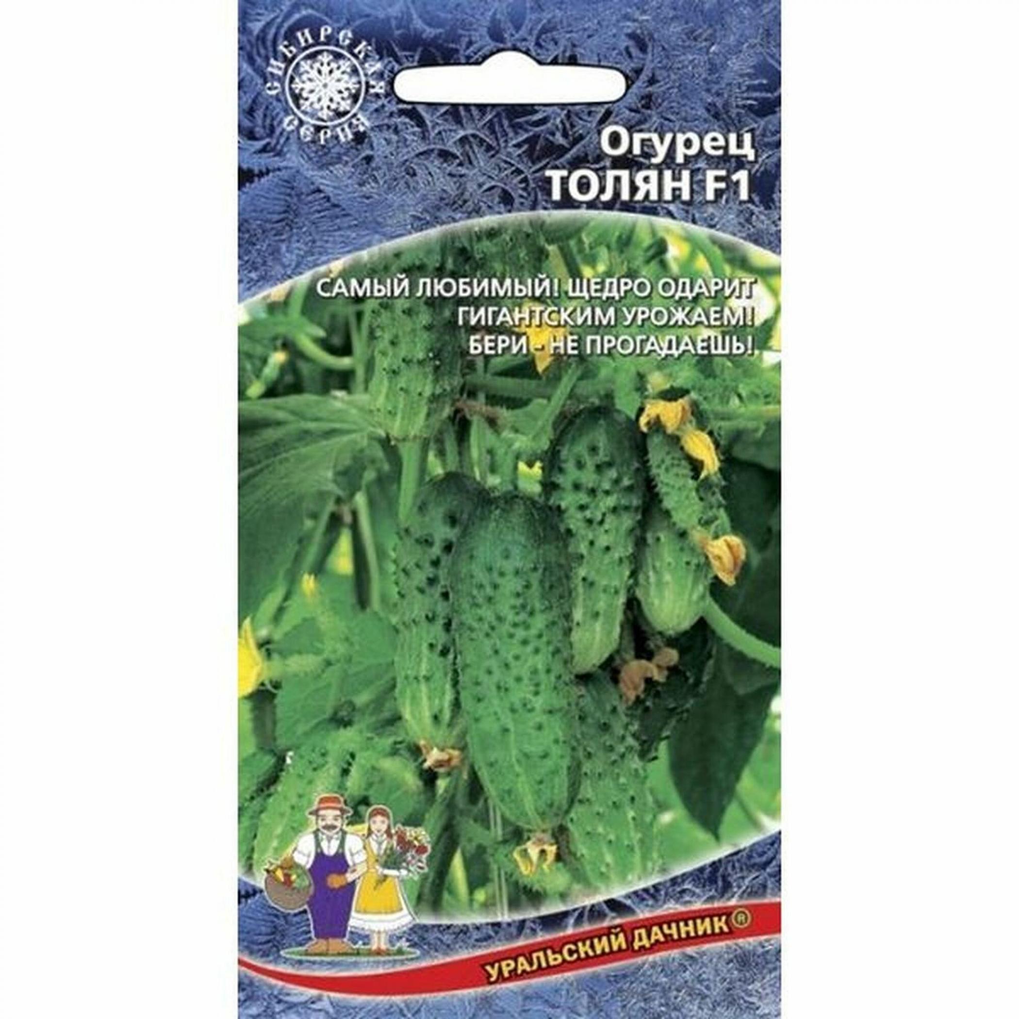 Огурец Толян