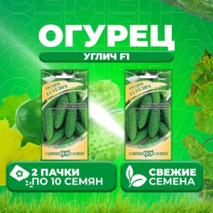 Огурец Углич
