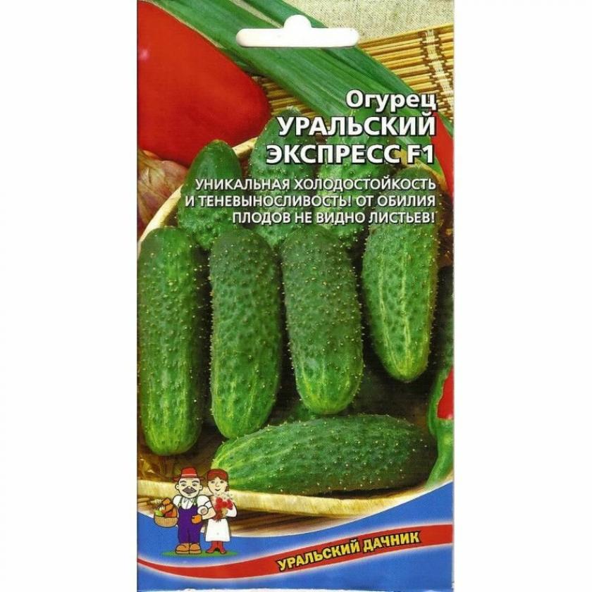 Огурец Уральский экспресс