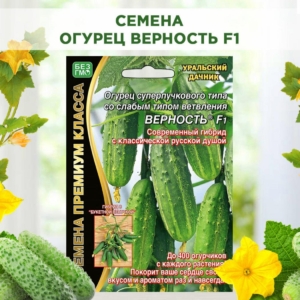Огурец Верность