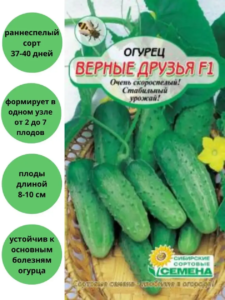 Огурец Верные друзья