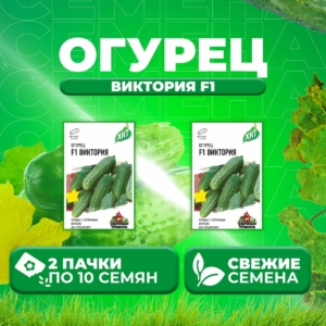 Огурец Виктория