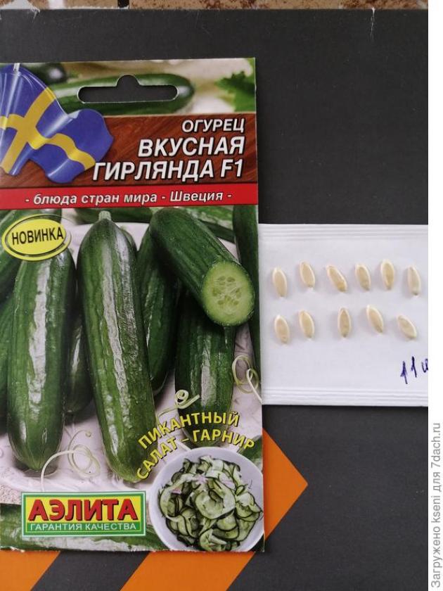 Огурец Вкусная гирлянда 2