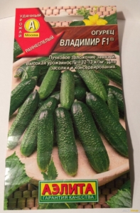 Огурец Владимир