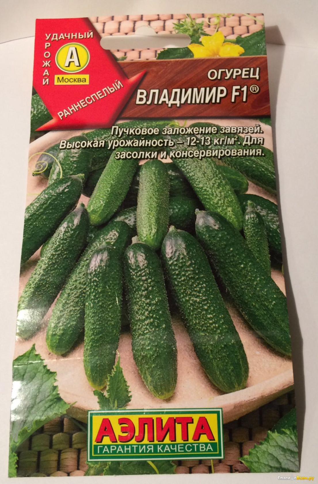 Огурец Владимир