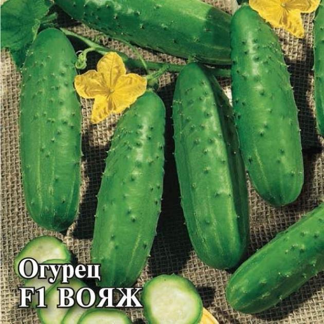 Огурец Вояж