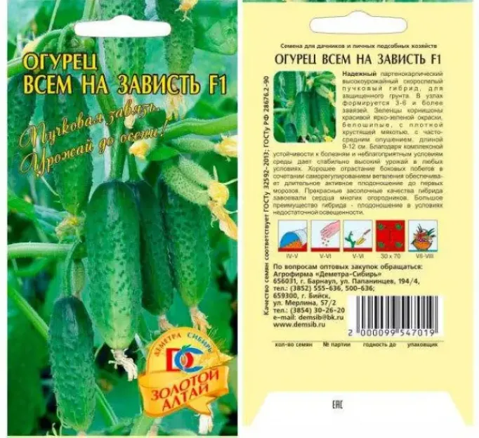 Огурец Всем на радость 2