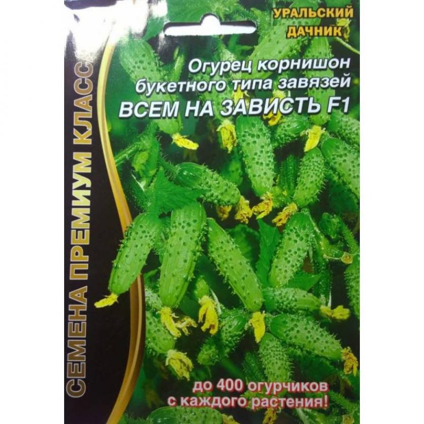 Огурец Всем на зависть