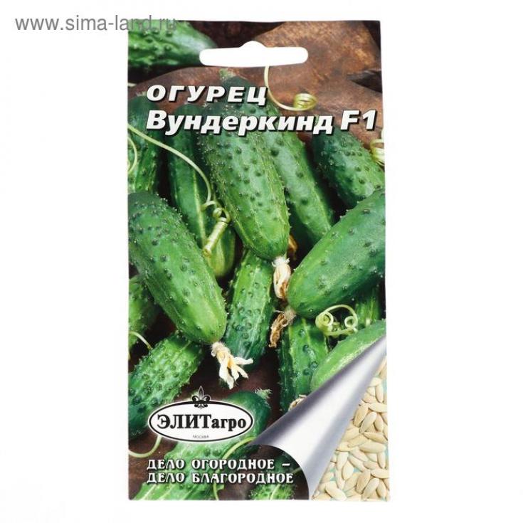 Огурец Вундеркинд 2