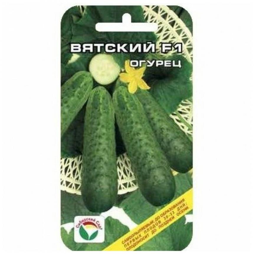 Огурец Вятский