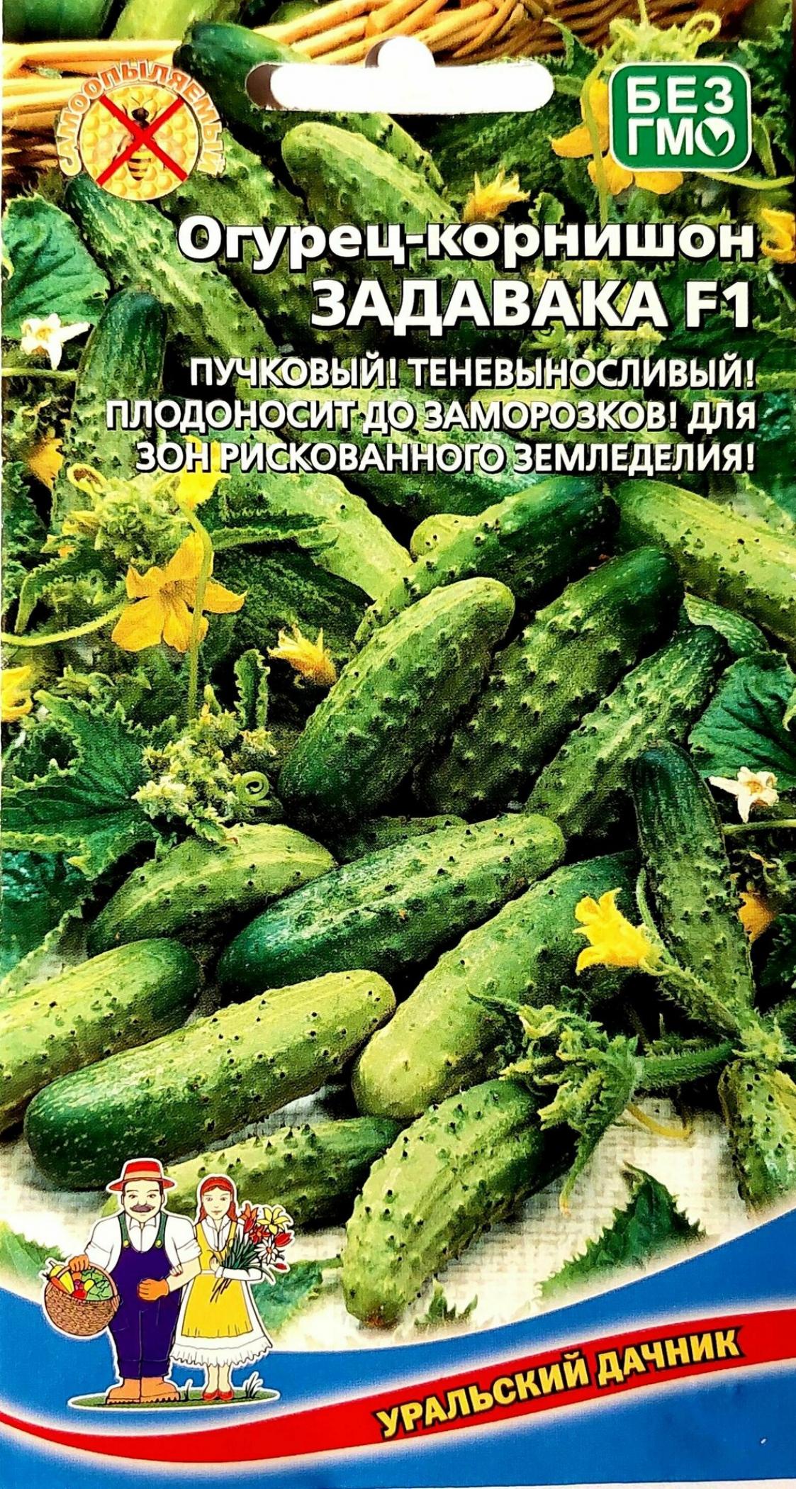 Огурец Задавака 2