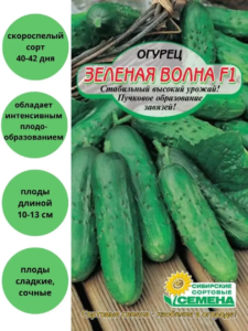 Огурец Зеленая волна