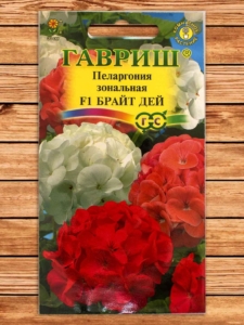Пеларгония Брайт Дей