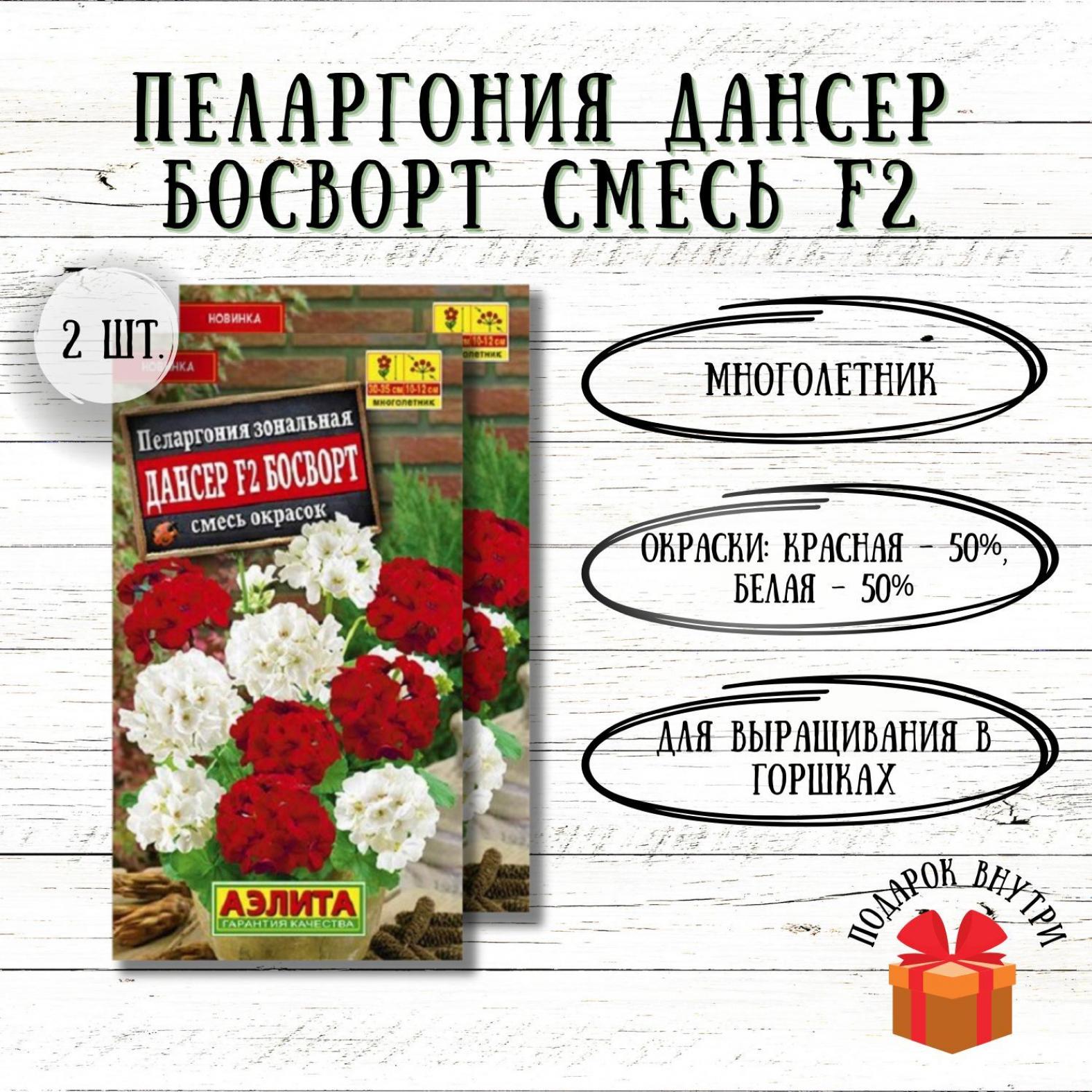 Пеларгония Дансер F2 Босворт 2