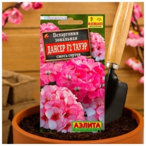 Пеларгония Дансер F2 Тауэр