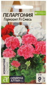 Пеларгония Горизонт (Смесь Окрасок)