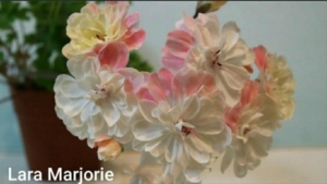 Пеларгония Лара Марджори (Lara Marjorie)