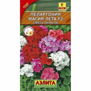 Пеларгония Магия Лета (смесь окрасок)