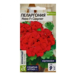 Пеларгония Нано Скарлет