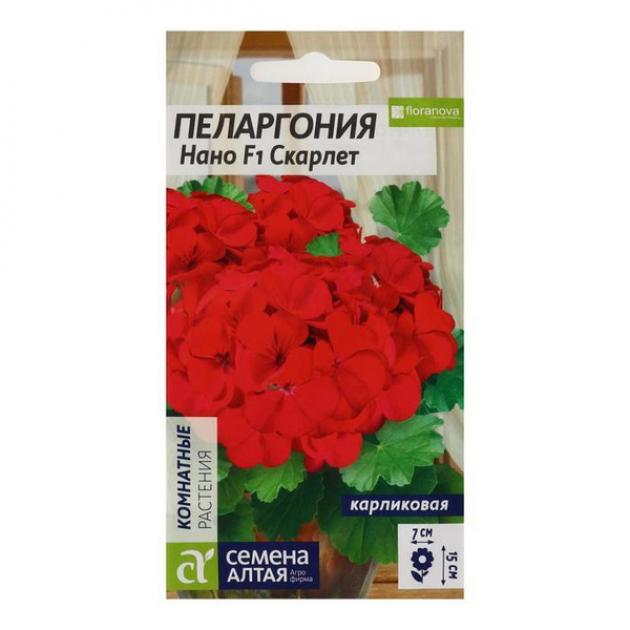 Пеларгония Нано Скарлет