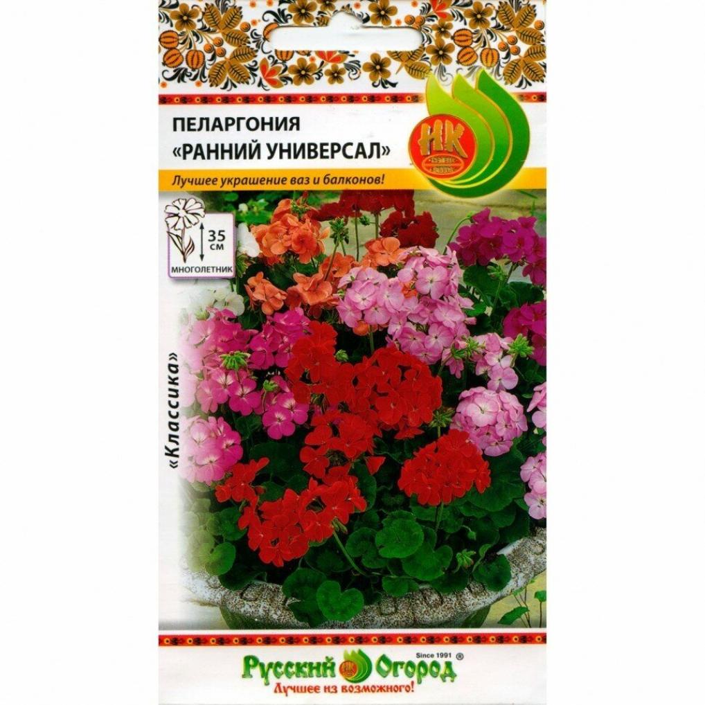 Пеларгония Ранний универсал 2