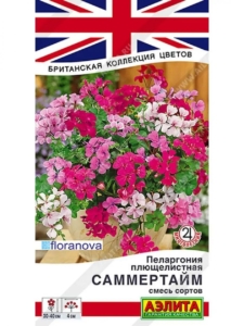 Пеларгония Саммертайм